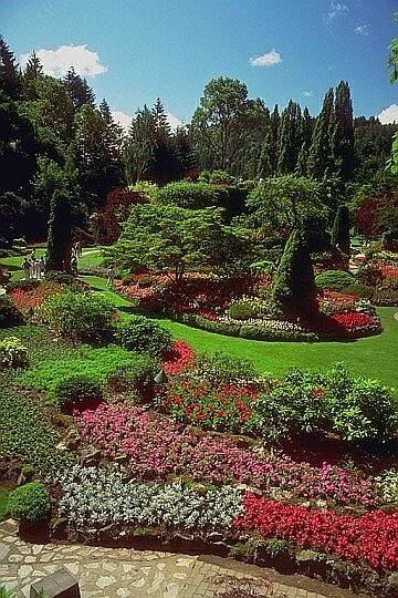A Garden Setting with Trees